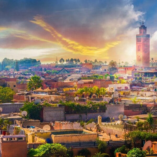 Green initiatives in Marrakech: climate action on the rise in the Red City